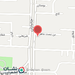 عکس گز و شیرینی تمشک آبی