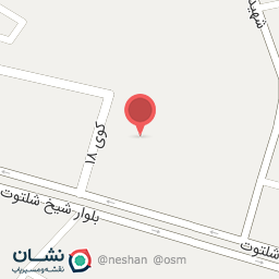 عکس مکانیکی برادران جلال و احد