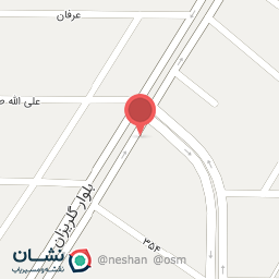 عکس رایان حامی زاگرس