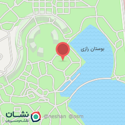 عکس صحافی نوری