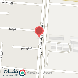 عکس فرش بزرگمهر