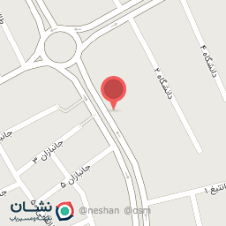 عکس جلوبندی و تنظیم فرمان