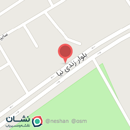 عکس مدیران خودرو کد ۴۲۳