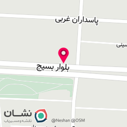 عکس خدمات تخصصی ناخن دلین