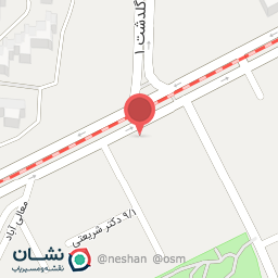 عکس شاورما خلیج