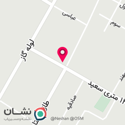 عکس باشگاه بانوان بامیکا