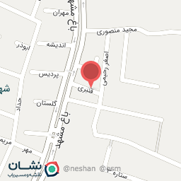 عکس قالیشویی علیجانی