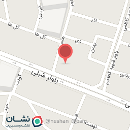 عکس پیتزا یاران