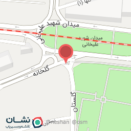 عکس دکتر مریم مسعودی