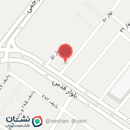 عکس عکاسی شاهین