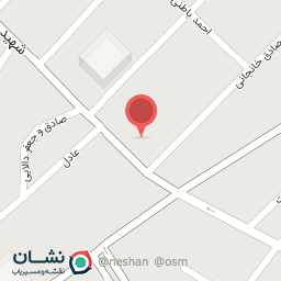 عکس مواد غذایی برادران هادی