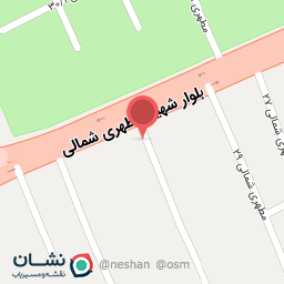 عکس فست فود التی