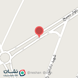 عکس چلوکبابی علینژاد