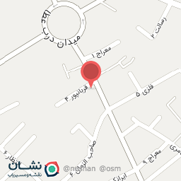 عکس سوپر گوشت ناظری 