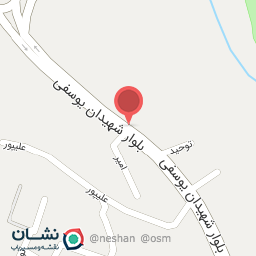 عکس پیتزا و بریانی کوک