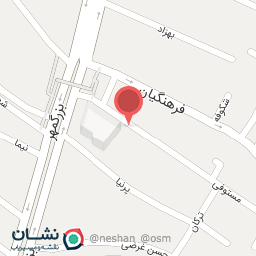 عکس دکتر سیمین السادات هاشمی - آرتین