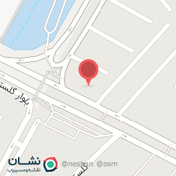 عکس پیتزا کاکتوس