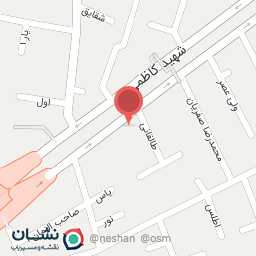 عکس روکش صندلی برادران سید