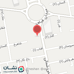 عکس فیزیوتراپی دایان