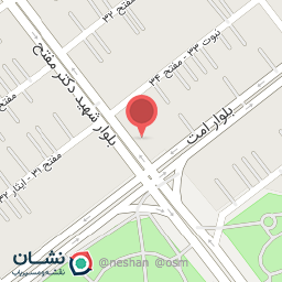 عکس ساندویچ و مرغ بریان