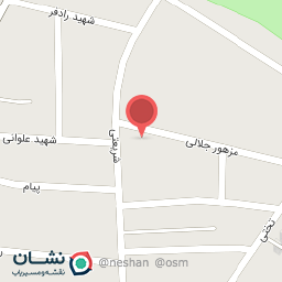 عکس فلافل عیسی