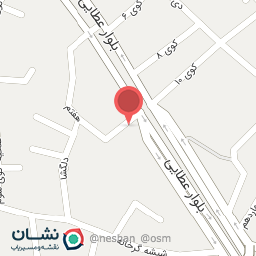 عکس فروشگاه بزرگ کیف و کفش ملکی