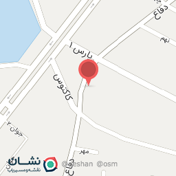 عکس مرغ پارس