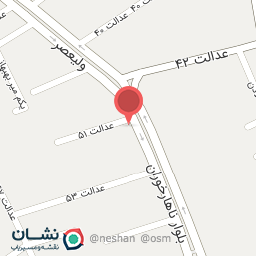 عکس برگر زغالی