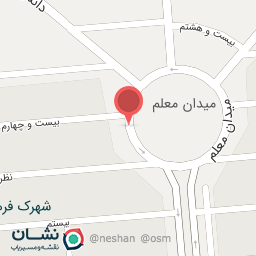 عکس تهیه غذا امین ۱