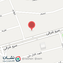 عکس دکتر طیبه همتی