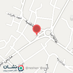 عکس کیف و کفش سعید