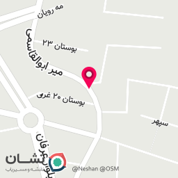 عکس پیتزا هی