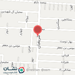 عکس قالیشویی هیوا