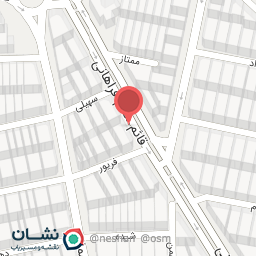 عکس پیتزا سنگی نارین