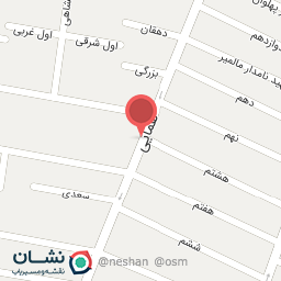 عکس کیف و کفش خورشید خانم