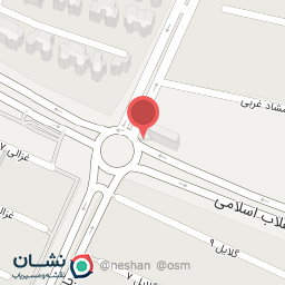 عکس اتو سرویس 110