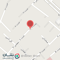 عکس تولیدی کفش پارسیس