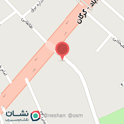 عکس مرغ پر کنده امیر عباس 