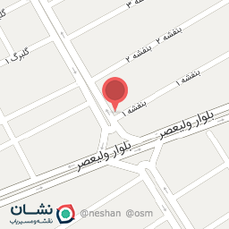 عکس تشک داتیس