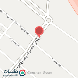 عکس شهید پور بهمن 1