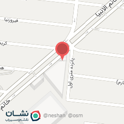 عکس نگین الکترونیک آریا