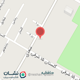 عکس مکانیکی رضا