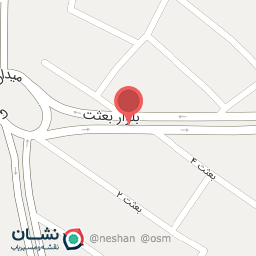 عکس تهیه غذای خوش خوراک