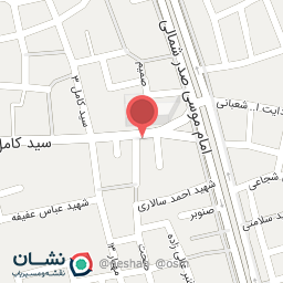 عکس کفش ایران۲