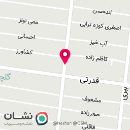عکس کارشناسی رنگ و بدنه دکتر اتو