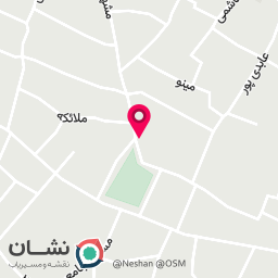 عکس نگار سیستم