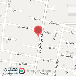 عکس شوینده بهداشتی حلال