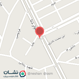 عکس مکانیکی استاد اسد الله