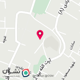 عکس نقره رفیع