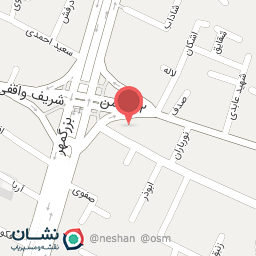 عکس دکتر ناهید طریقتی انارکی